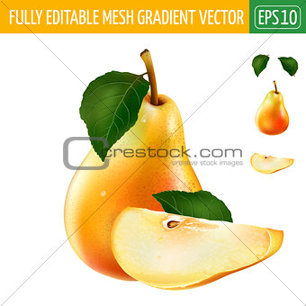 Pear on white background. Vector illustration