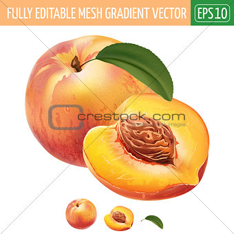 Peach on white background. Vector illustration