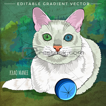 Khao Manee Cat Illustration