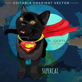 Cats superheroes. SuperCat