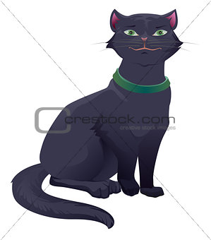 Black cat with green eyes sitting