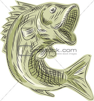 Largemouth Bass Fish Etching