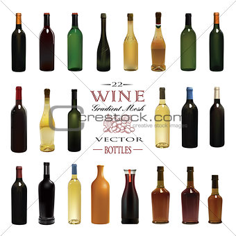 Various Types Of Wine Bottles. Vector Illustration