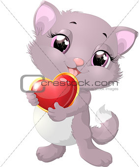Beautiful gray kitten with heart