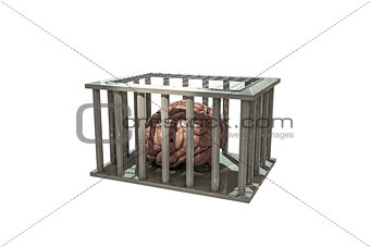 brain in a cage