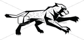 Black, white, grey jaguar