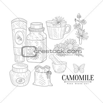 Camomile Cosmetics And Tea Hand Drawn Realistic Sketch