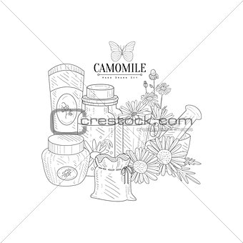Camomile Natural Product Hand Drawn Realistic Sketch