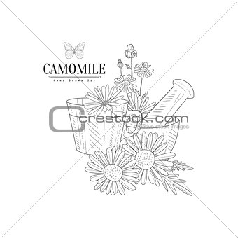 Camomile Tea, Pestle And Mortar Hand Drawn Realistic Sketch