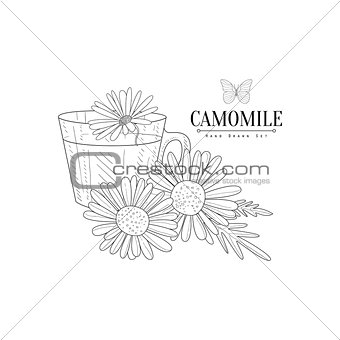 Camomile Herbal Tea Hand Drawn Realistic Sketch