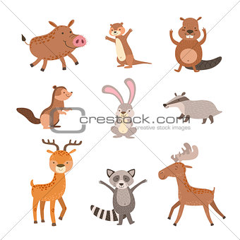 Forest Animals Collection