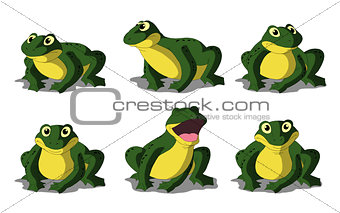 Green Frog Isolated on White Background