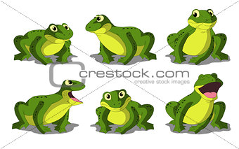 Light Green Frog Isolated on White Background