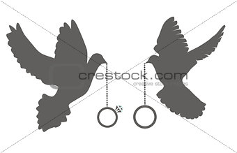 Doves with rings
