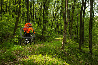 Biker in orange jersey on the forest road