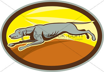 Greyhound Dog Jumping Side Oval Cartoon