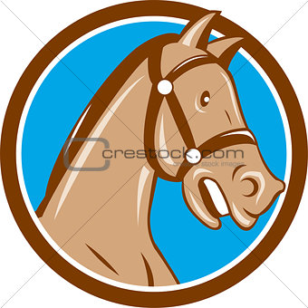 Horse Head Bridle Circle Cartoon