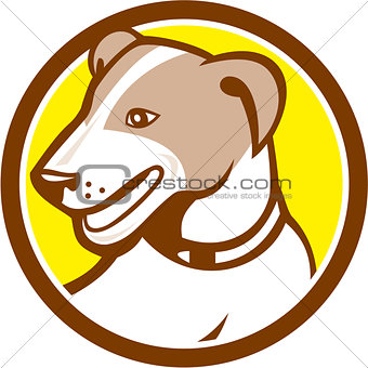 Jack Russell Terrier Head Circle Cartoon