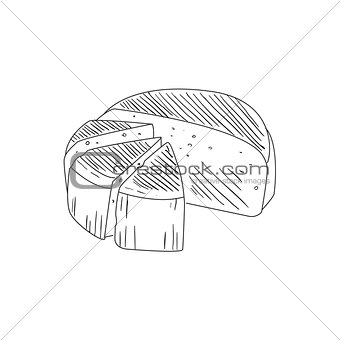 Round Cheese Cut In Segments Hand Drawn Realistic Sketch