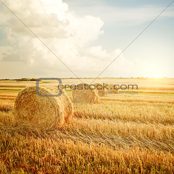 Summer Farm Scenery with Haystack