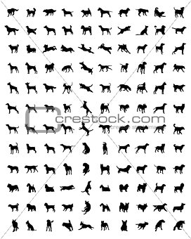 silhouettes of dogs