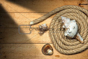 Rope and Seashells on Wooden Background