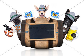 group of bavarian beer dogs 