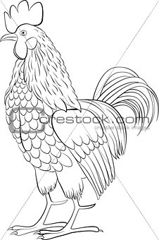 rooster black line art sketch of cock