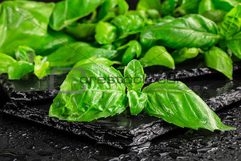 Basil leaves on a black slate