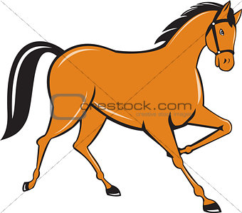 Horse Cantering Side Cartoon