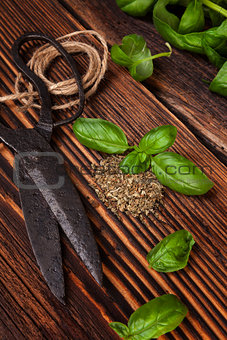 Aromatic culinary herbs, basil.