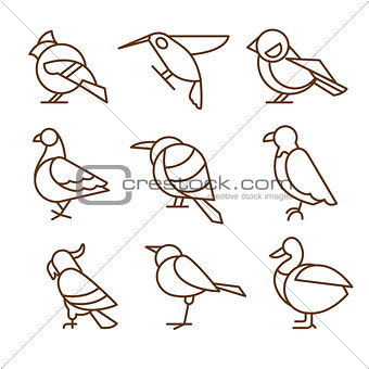 Bird Icons, Thin Line Style, Flat Design