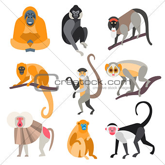Set of Primates and Monkeys. Vector Illustration
