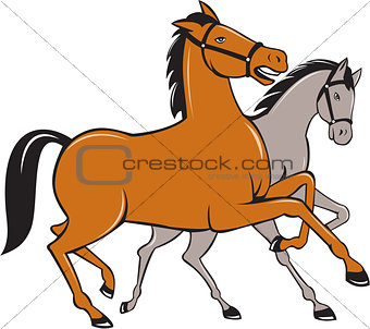 Two Horses Prancing Side Cartoon