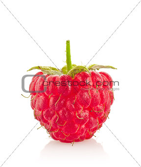 Ripe juicy organic raspberry macro