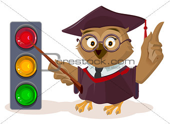 Owl teacher and traffic light