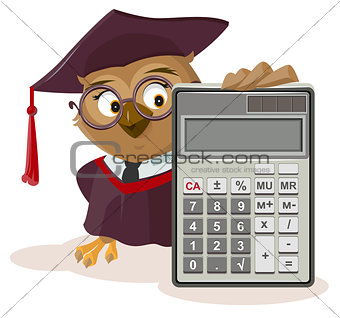 Owl teacher and calculator