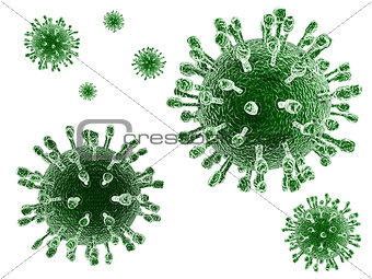 Viruses isolated
