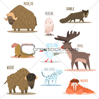 Arctic and Antarctic Animals, Birds. Vector Illustration