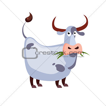 Cow Chewing Grass. Vector Illustration
