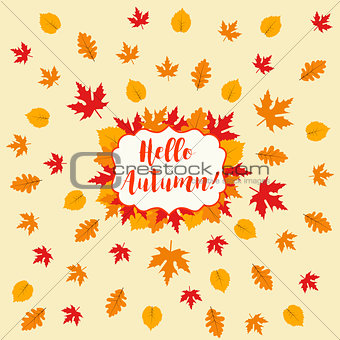 Autumn falling maple and oak leaves, pattern, isolated on white background