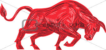 Bull Charging Drawing