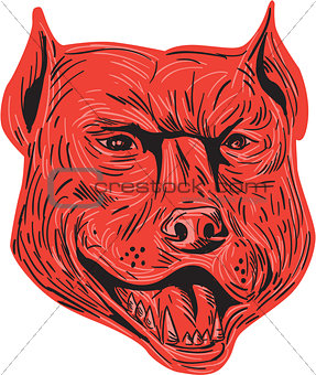Pitbull Dog Mongrel Head Drawing