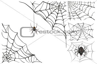 Web and black poisonous spider. Set Halloween accessory