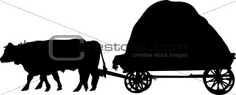 agricultural farm animals bulls a cart