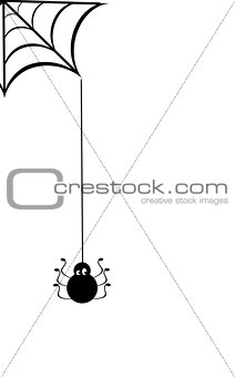 Vector Spider Web