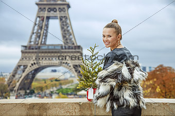 smiling fashion-monger with Christmas tree in Paris, France