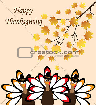 thanksgiving turkey vector
