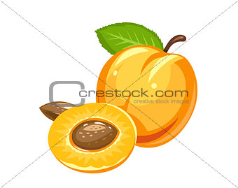 Apricot. Ripe juicy fruit with nut and leaf