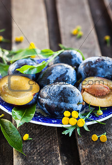 Fresh  ripe blue plums on plate